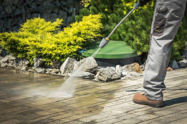 Best Solar Panel Cleaning  in Bushland, TX